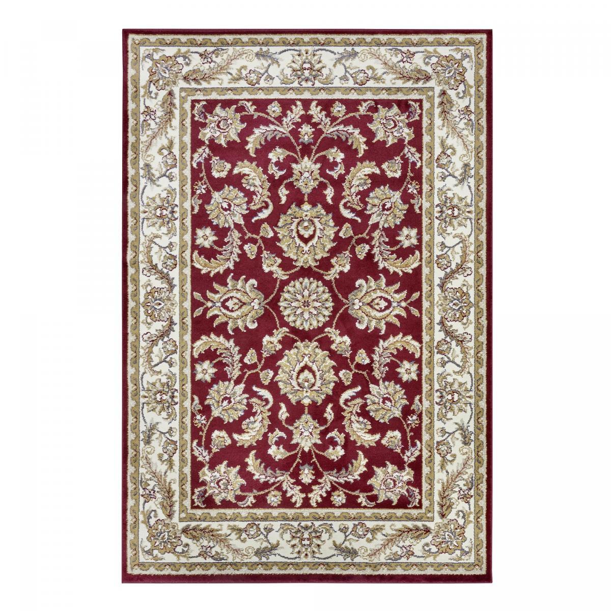 Tapis salon Rectangulaire Oriental