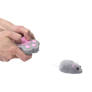 Jeu Souris Telecommande Pour Chat