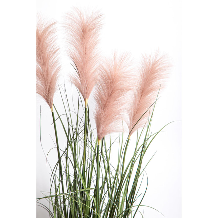 Festuca Glauca Con Vaso H.115 Cm - Pezzi 1 - 50X115X50cm - Colore: Verde - Bianchi Dino - Piante Grandi Invasate