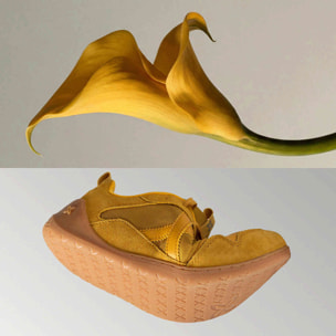 Zapatilla Barefoot de diseño técnico y ligero MUNICH FLEXING 05