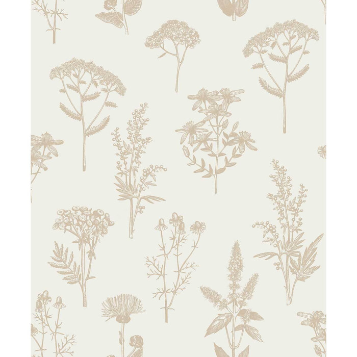 Papier peint herbier fleurs beige minimaliste