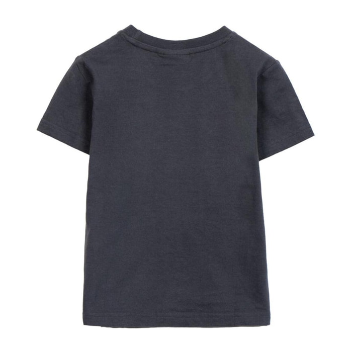 Camiseta Corta Spiderman - Color Gris