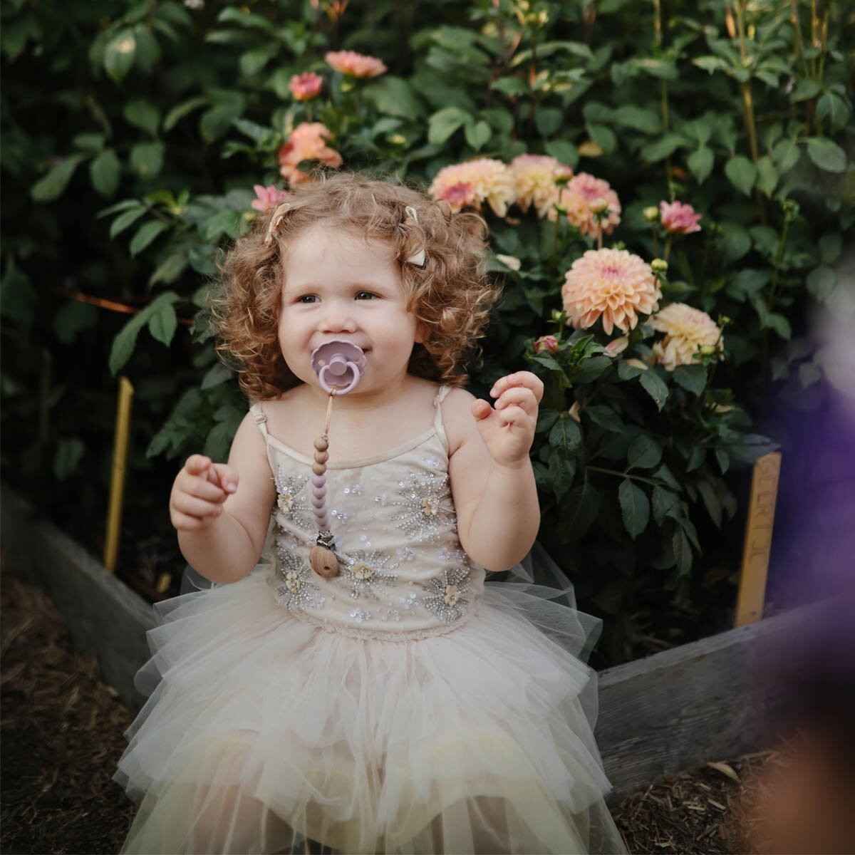 Frigg Pack 2 Chupetes Block Silicona Daisy