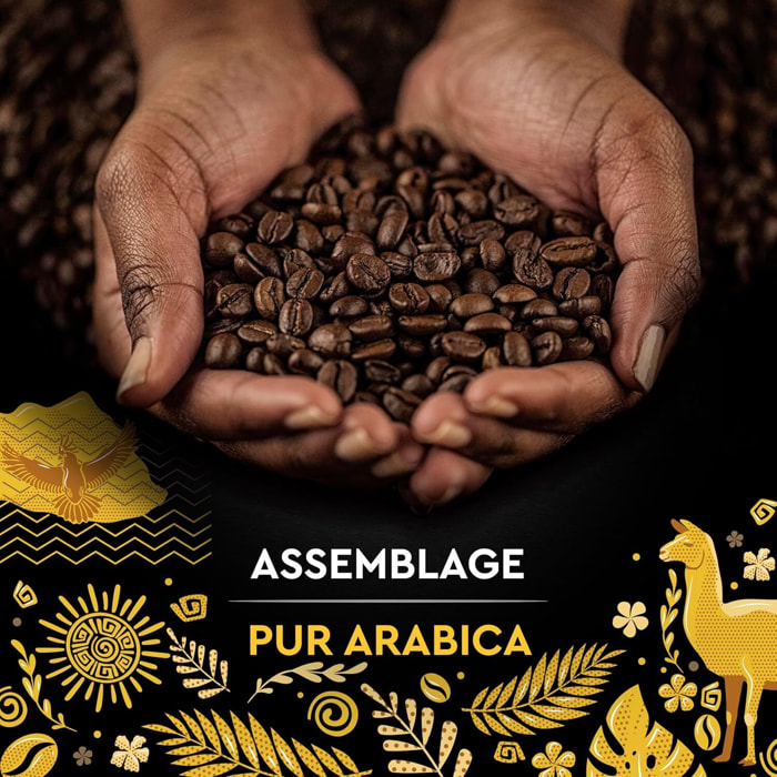 Carte Noire Grains Pérou Bio 500g