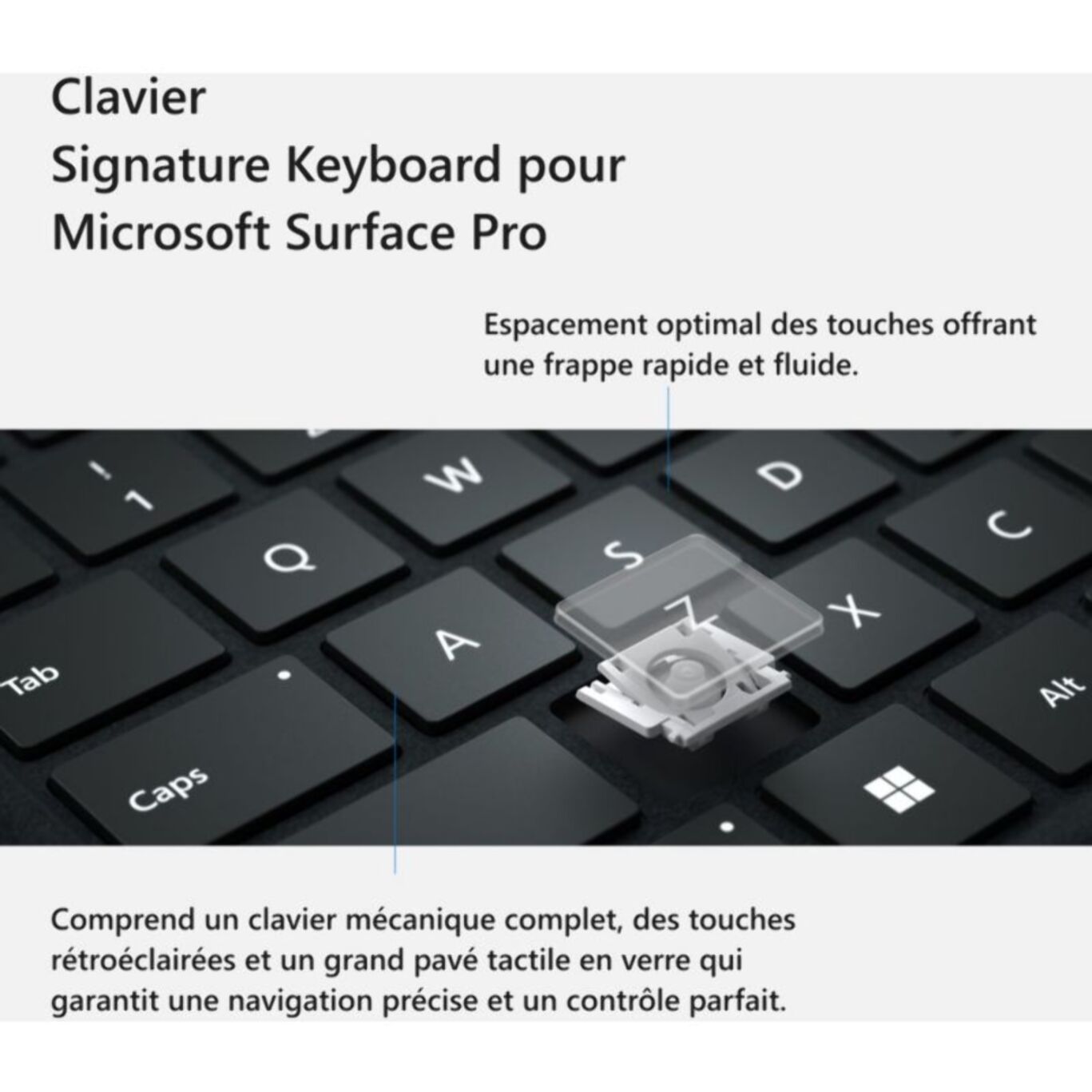 Clavier MICROSOFT Signature - Forest avec stylet