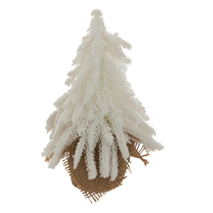SAPIN BLANC BASE JUTE H20