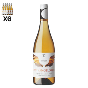 Caja de 6 botellas de vino Panis Angelorum. Cebreros, 100% Albillo Real, crianza de 3 meses. Vendimia del 2021. 75cl con 13% vol.