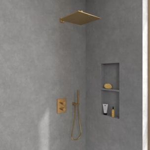 Douche de tête 350 Universal rectangle Brushed Gold