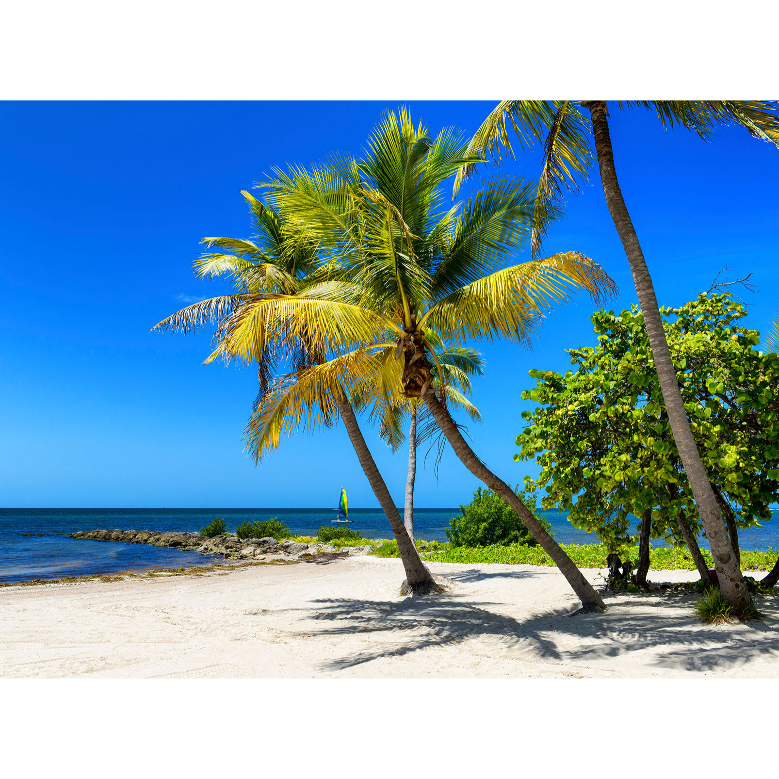 Papier peint panoramique sable blanc a miami Intissé