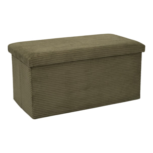 Coffre Banc Pliable Cotele Scott Vert