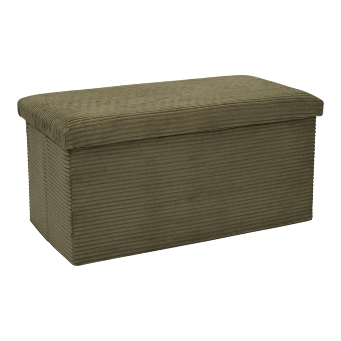 Coffre Banc Pliable Cotele Scott Vert