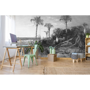 Papier peint panoramique Caladesi Bay -