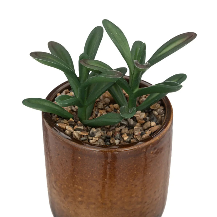 Plante artificielle - pot en céramique - H16 cm