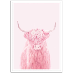 Affiche - Highland cow - Paul Fuentes