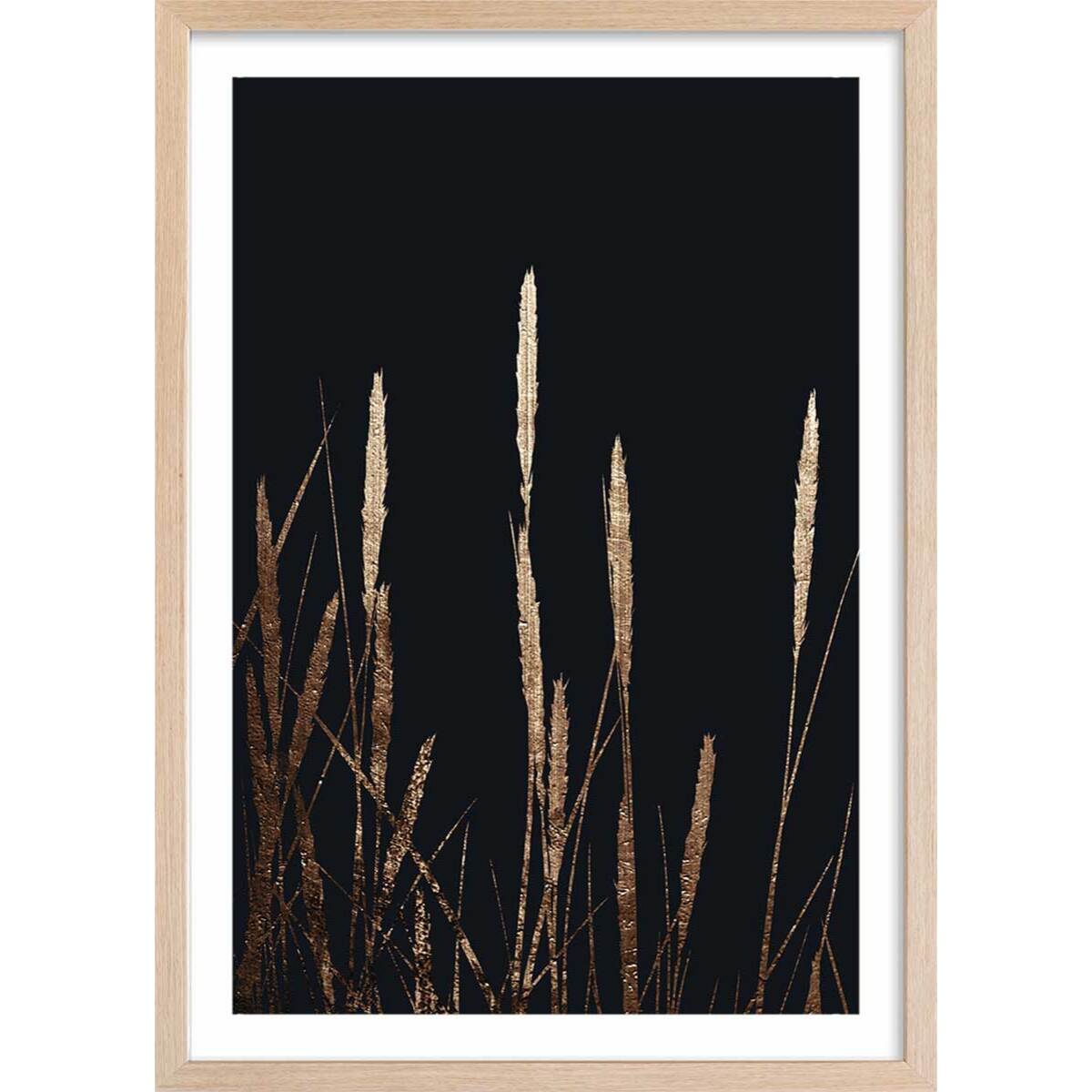 Poster blés dorés Affiche + cadre en bois - Chêne