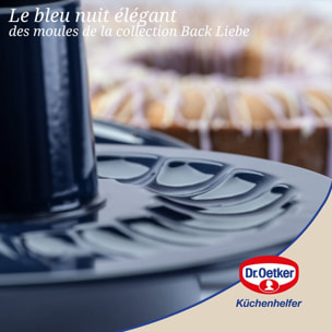 Moule à manqué et savarin double fond Dr. Oetker Back Liebe