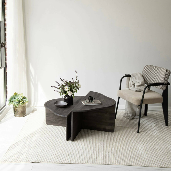 Tavolino da salotto Emiri, Tavolo basso da caffè, Portariviste per divano, Ripiano da soggiorno, 90x90h40 cm, Antracite
