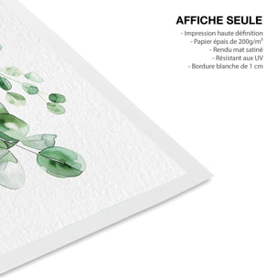 Affiche fleurs eucalyptus élégance Affiche seule