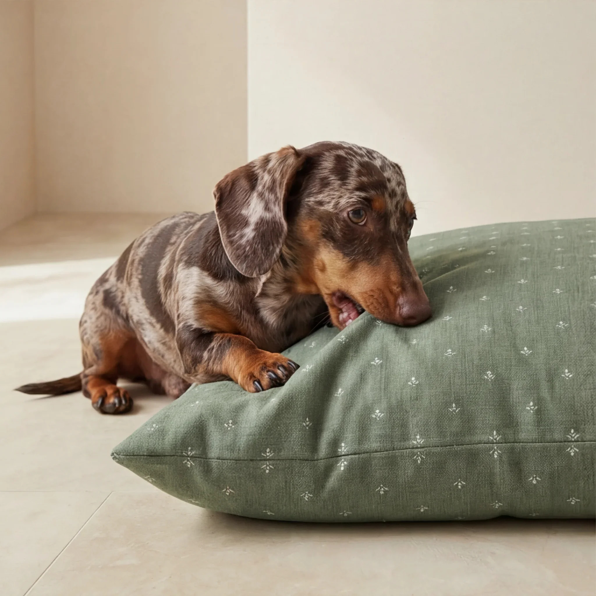 Lit pour animaux déhoussable et antitaches Monina Dusky 8