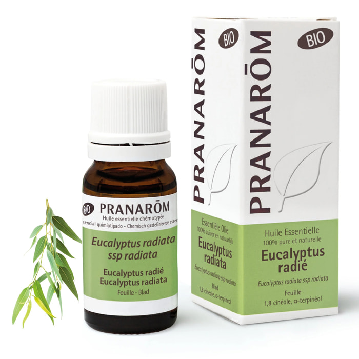 Pranarom - Huile Essentielle d'Eucalyptus radié - Bio - 10 ml