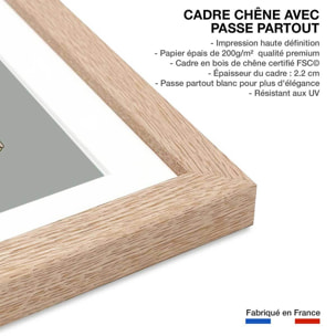 Affiche enfant chat sur une tortue  Affiche + cadre en bois - Chêne