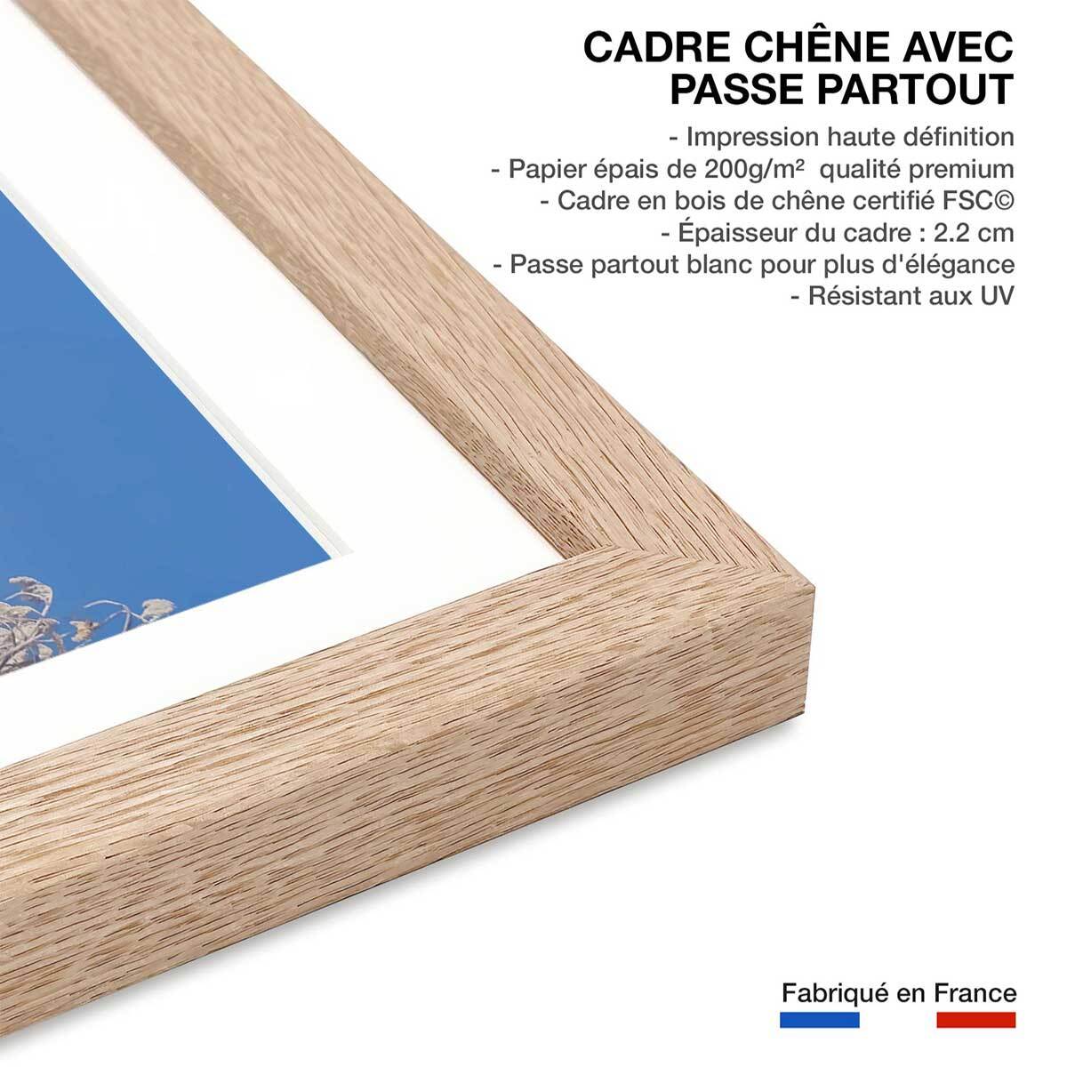 Affiche cygnes dans le givre matinal Affiche sous cadre bois