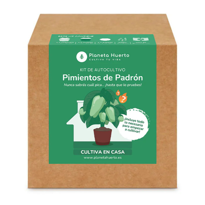 Kit de autocultivo Pimientos de Padrón Planeta Huerto
