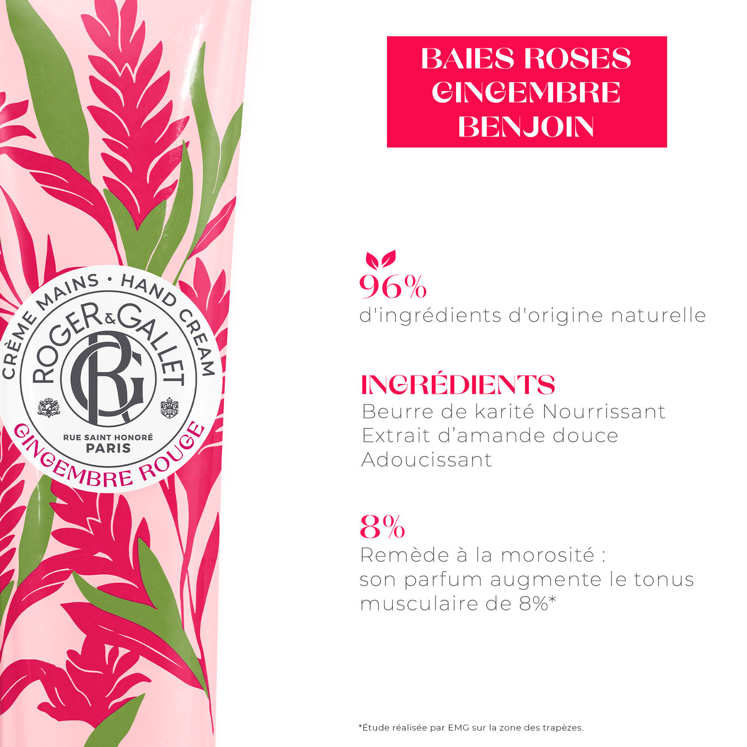 Gingembre Rouge - Crème Mains Bienfaisante 30 ml