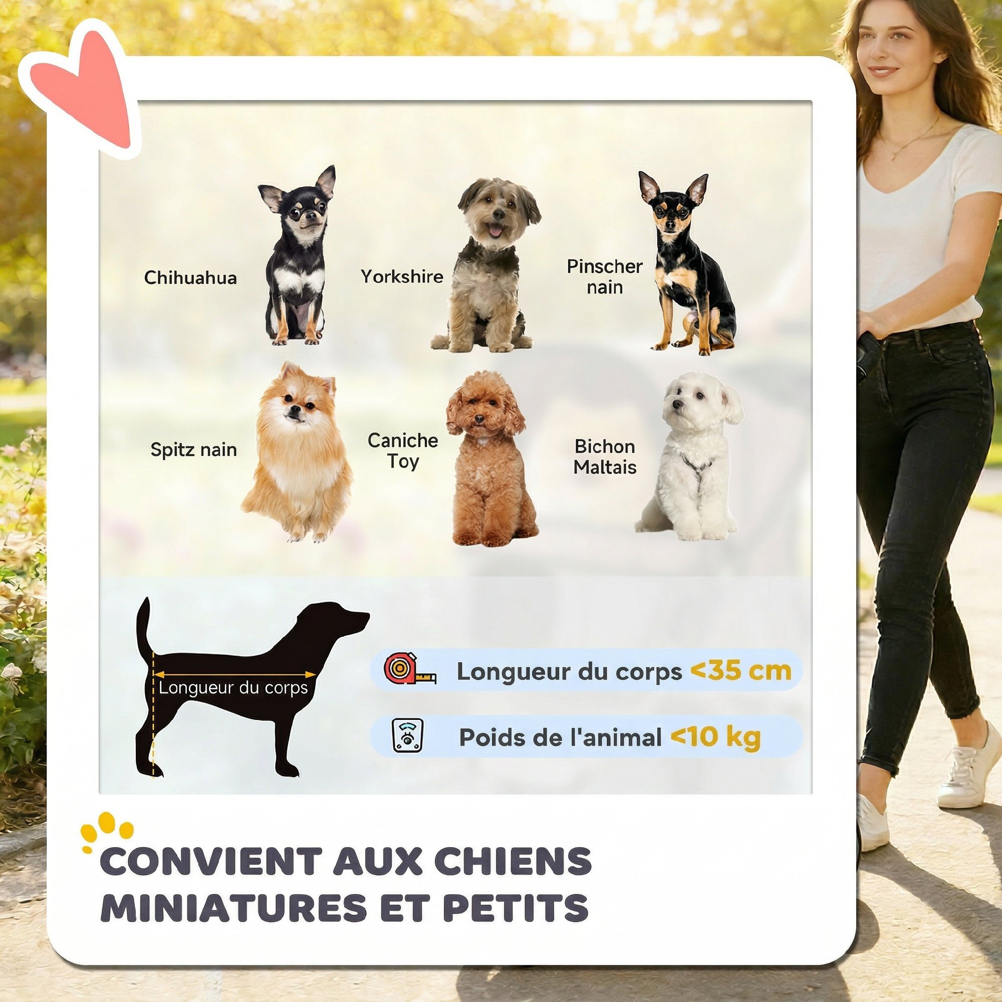 Poussette buggy pour chien chat animaux roue avant pivotante 360 degrés café