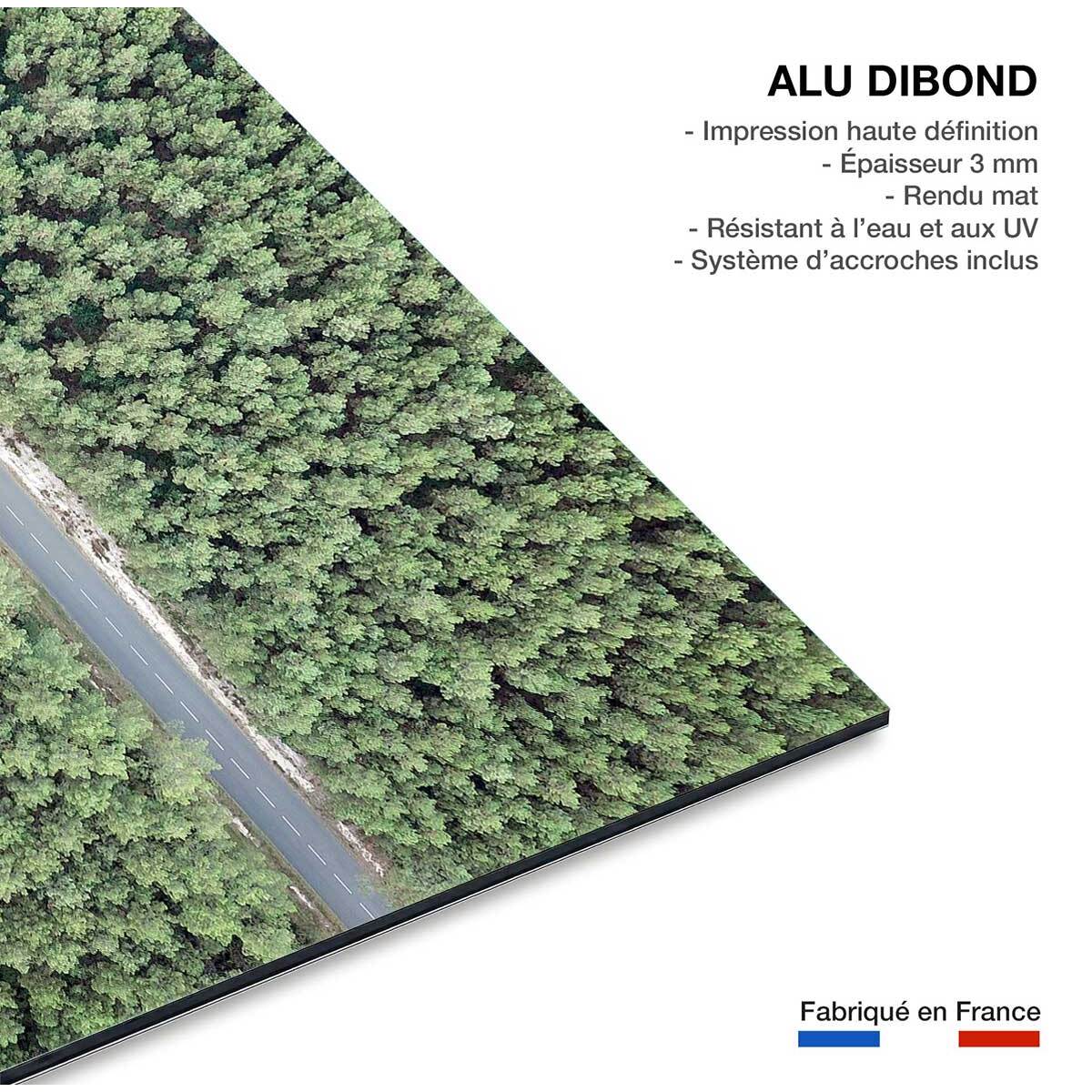 Tableau infinitude de la forêt landaise Tableau alu Dibond