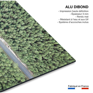 Tableau infinitude de la forêt landaise Tableau alu Dibond