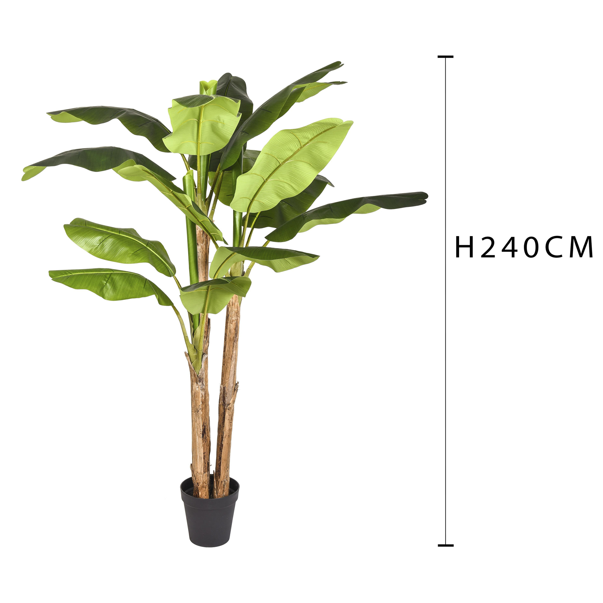 Banani Con Vaso. Altezza 240 Cm - Pezzi 1 - 50X240X50cm - Colore: Verde - Bianchi Dino - Piante Artificiali