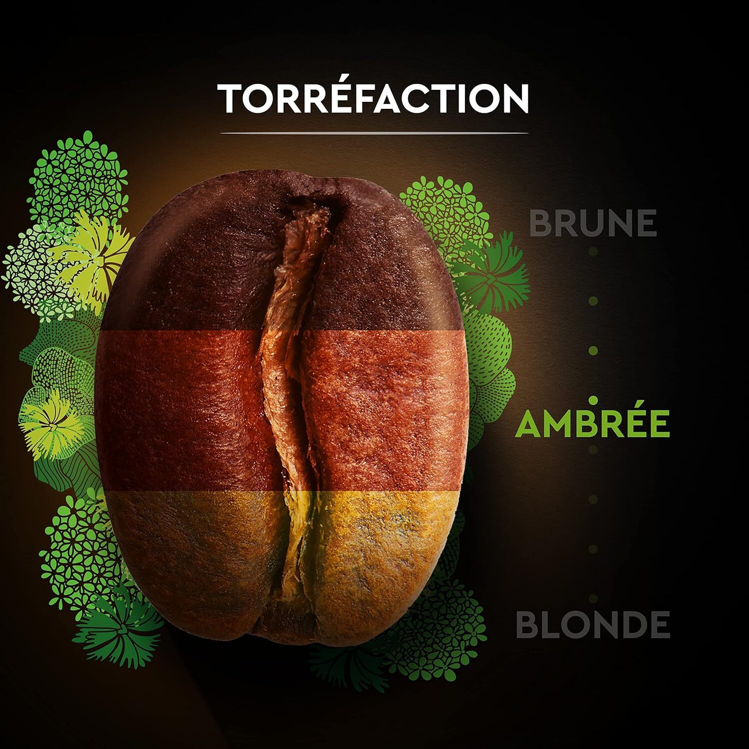 Carte Noire Grains BIO 1KG