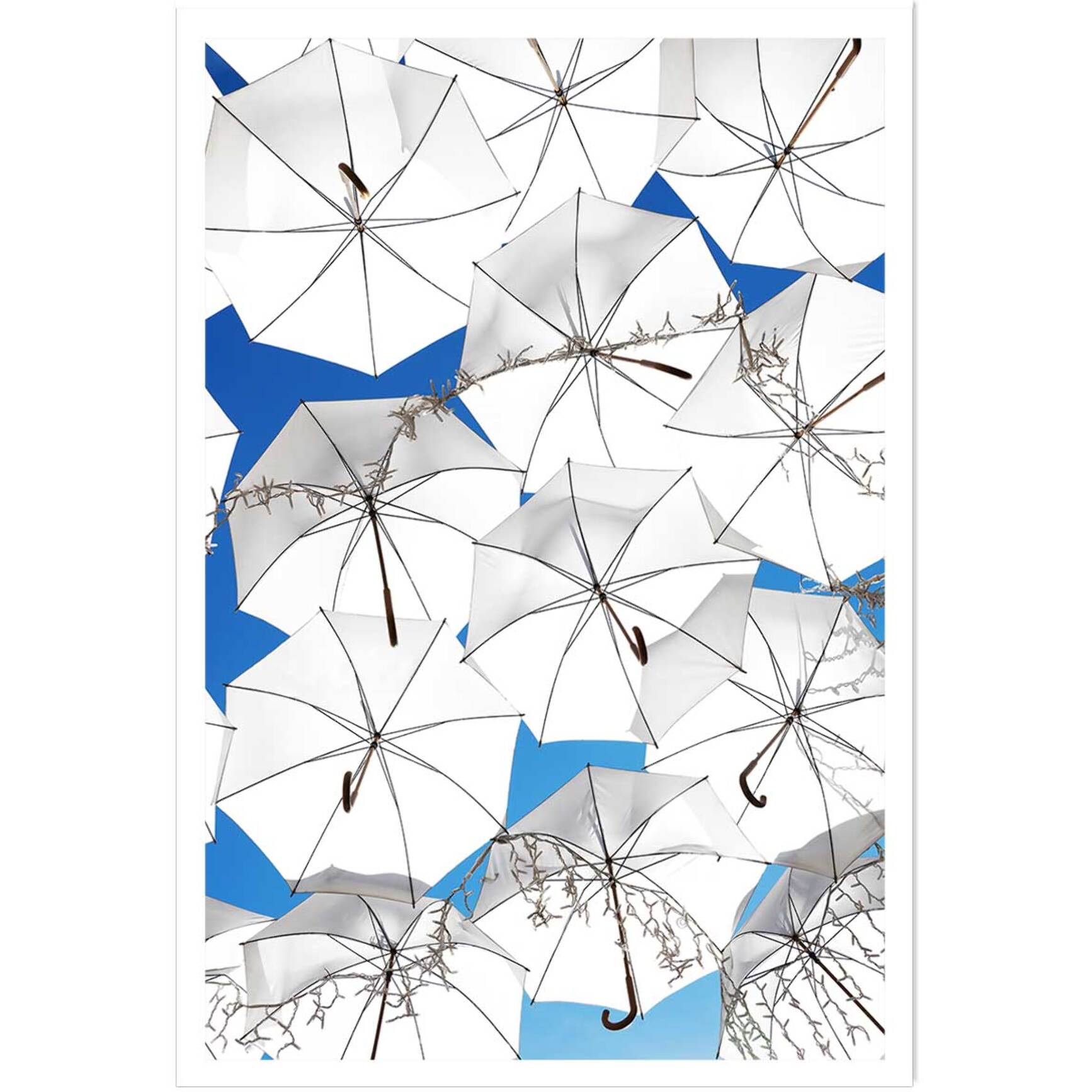 Affiche poster ombrella Affiche seule