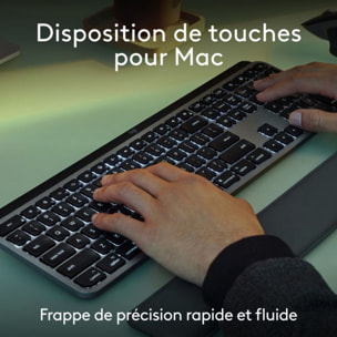 Clavier + Souris LOGITECH MX Keys S Combo for Mac