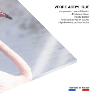 Tableau pastel pink flamingo Tableau plexiglas