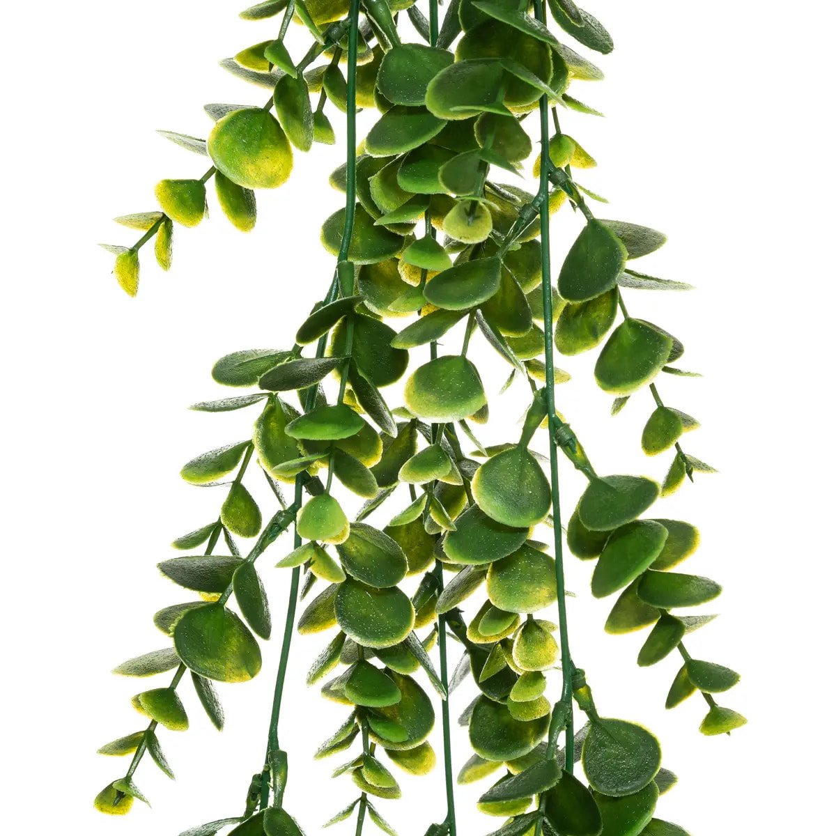 Plante artificielle tombante H75cm