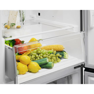Electrolux Frigorífico combi de libre instalación Serie 600 Gris de 186 cm LNB6MD30U0