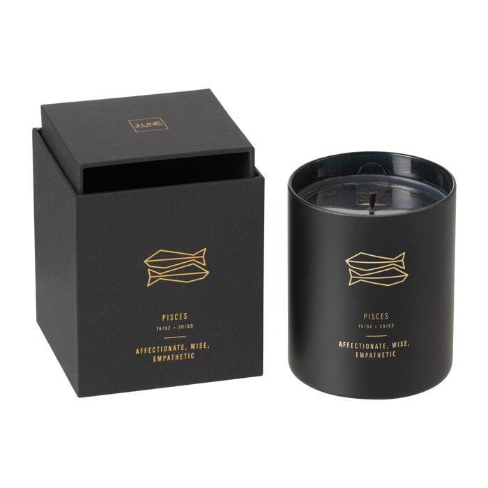 J-Line bougie parfumée Astro Poisson – Rainbow Reef – noir - 50H