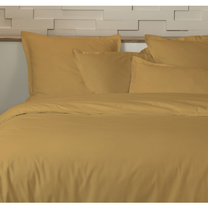 Parure Housse De Couette 3pcs 100 % percale Coton 80fils Percale Moutarde