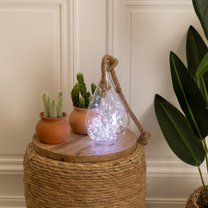 Guirlandes - 100 micro LED - argent et blanc chaud - L1000 cm