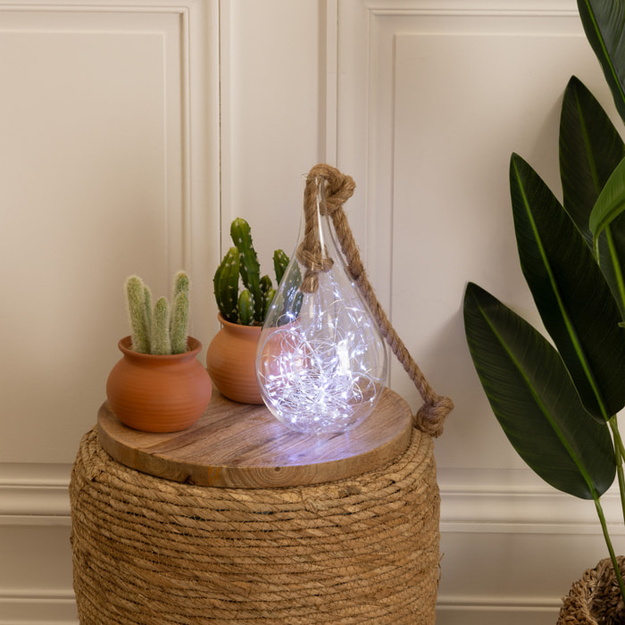 Guirlandes - 100 micro LED - argent et blanc chaud - L1000 cm