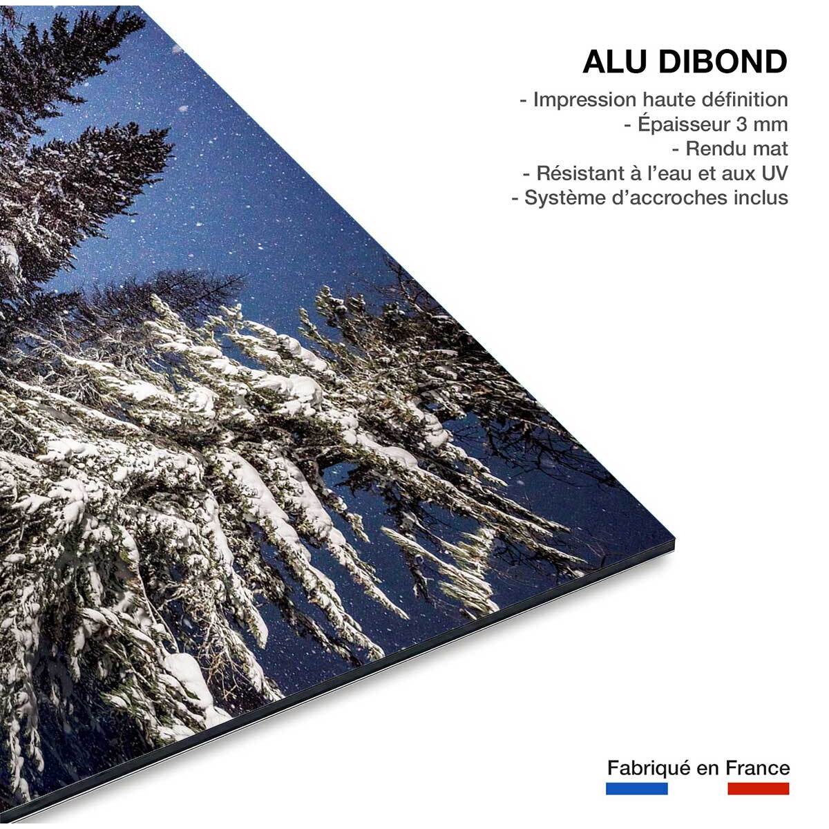 Tableau freeride ski session Tableau alu Dibond