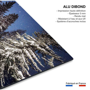 Tableau freeride ski session Tableau alu Dibond