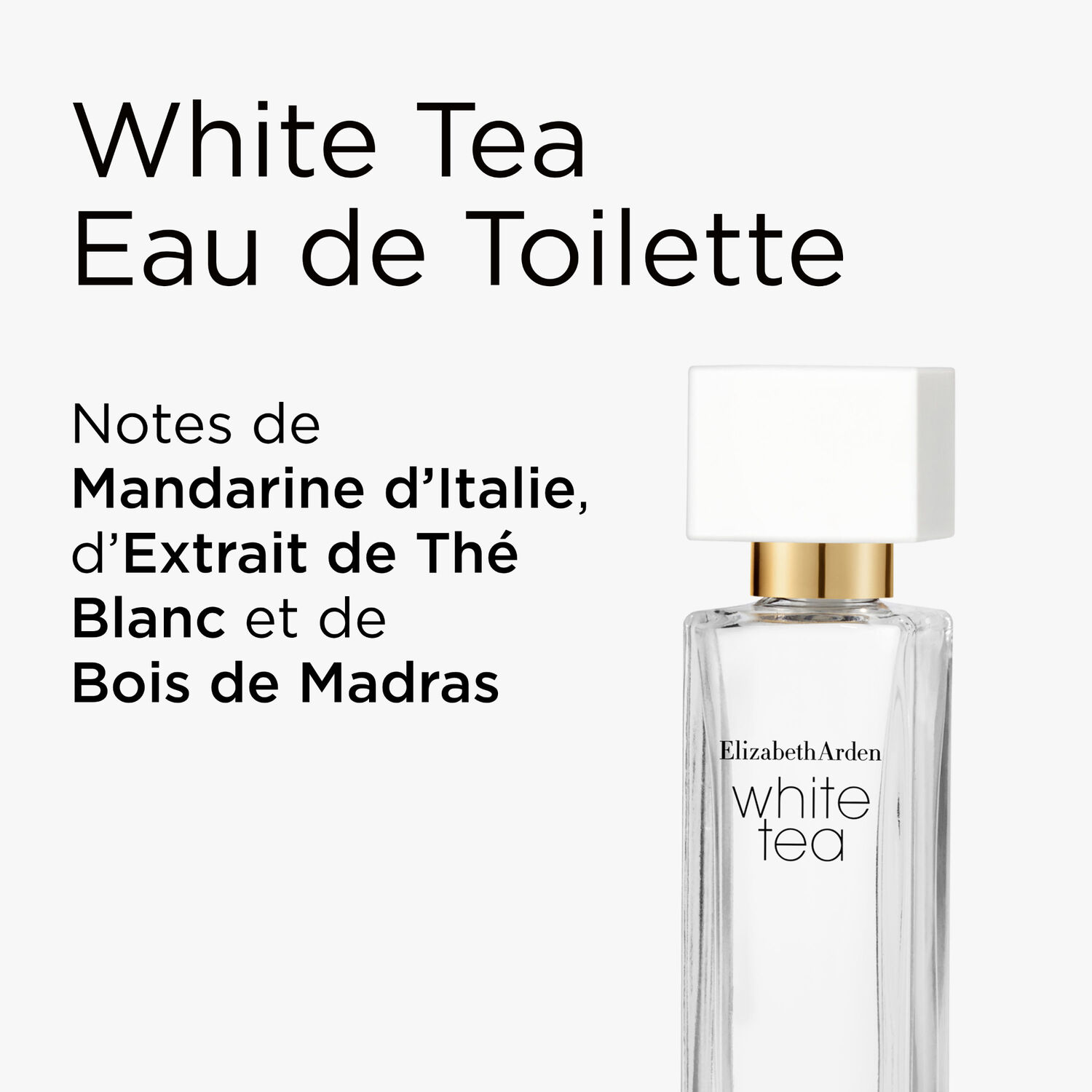 White Tea Mini Fragrance Collection - Coffret Sélection Eau de Parfum 3x10ml
