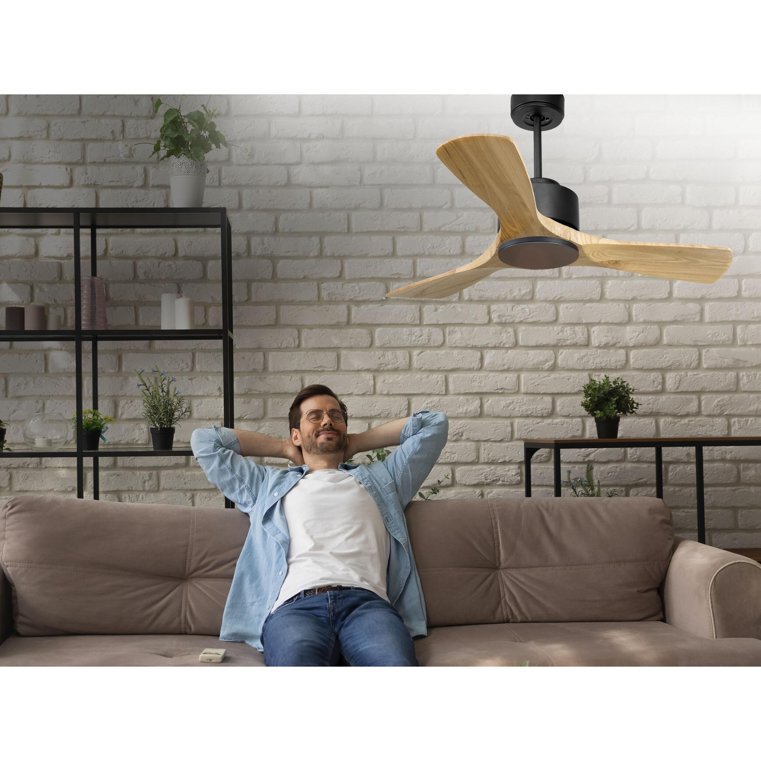 Ventilateur de plafond ø106 cm avec Wifi Réversible Hypersilence 40   W Noir