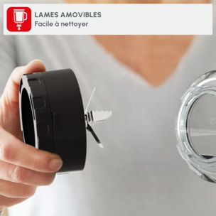 Blender MOULINEX perfect mix LM871D10 noir et metal