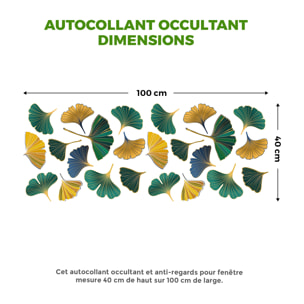 Adhésif Film Fenêtre Anti Regard Occultant - FEUILLES GINKGO AUTOMNE