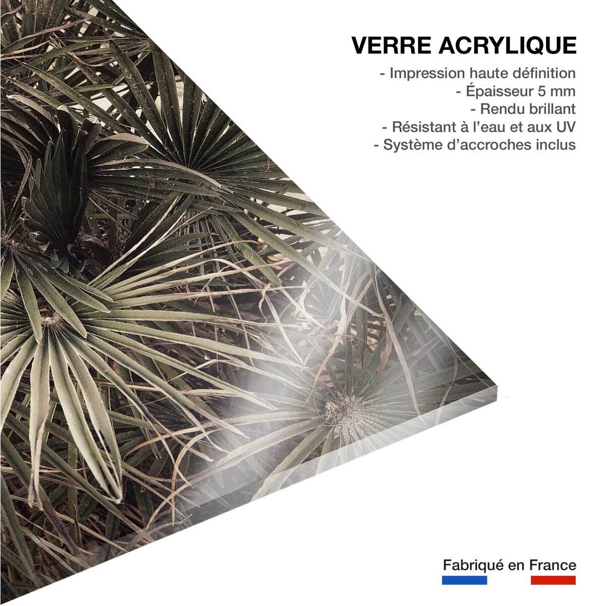 Tableau tropicana mood Tableau plexiglas