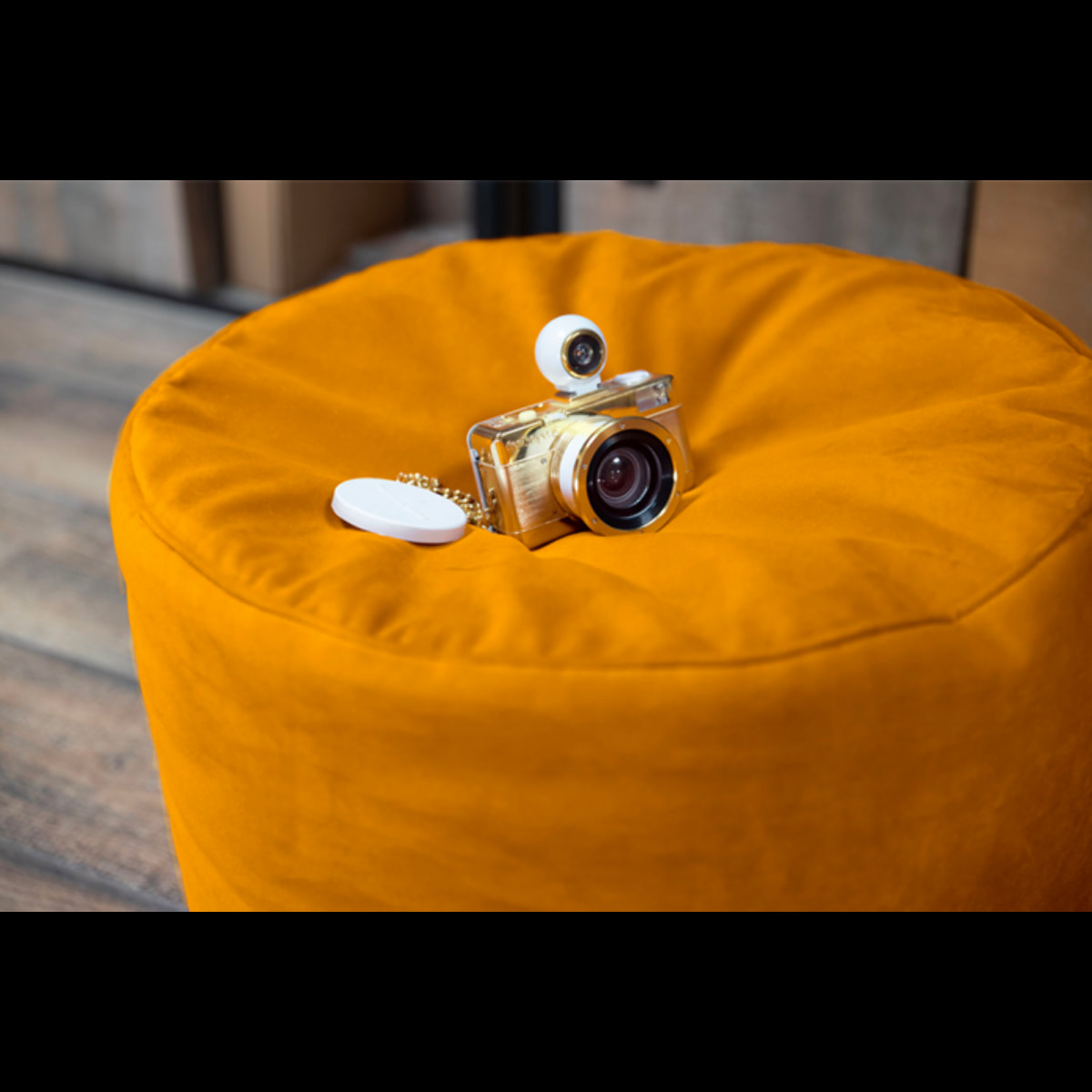 Marilyn Velours Curry